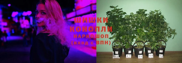 шишки Новый Уренгой