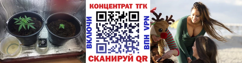 купить закладку Гдов Дистиллят ТГК гашишное масло