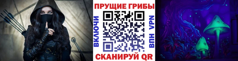 Псилоцибиновые грибы GOLDEN TEACHER  Гдов 